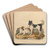 The Newfoundland dog by Sydenham Edwards Art Drink Coaster set