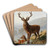 Der kapitale Hirsch by Carl Friedrich Deiker Art Drink Coaster set