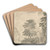 Landscape, Trees and a Distant View of Rome by William Taverner Art Drink Coaster set
