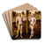The Fall of Man by Lucas Cranach the Younger Art Drink Coaster set The Fall of Man by Lucas Cranach the Younger Art Drink Coaster set