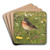 Traquet Tarier by Lo-Paul Robert Art Drink Coaster set
