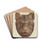 Bear's Head by Laura Bilodeau Drink Coasters - set of 4