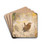 Troglodyte by Lo-Paul Robert Drink Coasters - set of 4