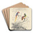 A pair of parrots by Edward Lear Art Drink Coaster set A pair of parrots by Edward Lear Art Drink Coaster set