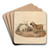 The Bull Dog by Sydenham Edwards Art Drink Coaster set