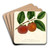 Diospyros: Zengi by William Henry Prestele Art Drink Coaster set