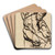 Figure Study of a Nude Male by Benjamin Robert Haydon Art Drink Coaster set