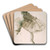 Study of a Ballet Dancer by Edgar Degas Art Drink Coaster set