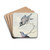 Twee vogels; een blauwe gaai en een purperborstcotinga by Aert Schouman Drink Coasters - set of 4