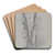 Study of Birch Trunks (Scribners') by Jervis McEntee Art Drink Coaster set Study of Birch Trunks (Scribners') by Jervis McEntee Art Drink Coaster set