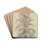 Pflanzenstudie IX (mit groen Blttern) by Ferdinand Keller Drink Coasters - set of 4