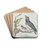 Four Different Birds on a Branch by Aert Schouman Drink Coasters - set of 4 Four Different Birds on a Branch by Aert Schouman Drink Coasters - set of 4