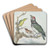 Four Different Birds on a Branch by Aert Schouman Art Drink Coaster set Four Different Birds on a Branch by Aert Schouman Art Drink Coaster set