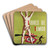 Libres de Temor by Atherton Art Drink Coaster set