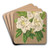 Azalea Bernhard Andrea alba by Charles Antoine Lemaire Art Drink Coaster set