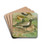 Charadrius pluvialis, Charadrius squatarola by Johann Friedrich Naumann Drink Coasters - set of 4 Charadrius pluvialis, Charadrius squatarola by Johann Friedrich Naumann Drink Coasters - set of 4