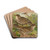 Turdus viscivorus, Turdus atrigularis by Johann Friedrich Naumann Drink Coasters - set of 4 Turdus viscivorus, Turdus atrigularis by Johann Friedrich Naumann Drink Coasters - set of 4