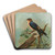 Hirundo rufula Temm, Biblis rupestris by Johann Friedrich Naumann Art Drink Coaster set Hirundo rufula Temm, Biblis rupestris by Johann Friedrich Naumann Art Drink Coaster set
