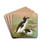Alca impennis L., Riesenalk by Johann Friedrich Naumann Drink Coasters - set of 4 Alca impennis L., Riesenalk by Johann Friedrich Naumann Drink Coasters - set of 4