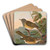 Turdus obscurus by Johann Friedrich Naumann Art Drink Coaster set Turdus obscurus by Johann Friedrich Naumann Art Drink Coaster set