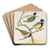Parus mitratus, Parus ater, Parus major, Parus subpalustris Brm by Johann Friedrich Naumann Art Drink Coaster set Parus mitratus, Parus ater, Parus major, Parus subpalustris Brm by Johann Friedrich Naumann Art Drink Coaster set