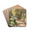 A sun-drenched path in spring by Robert Russ Drink Coasters - set of 4