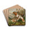 Turdus ruficollis by Johann Friedrich Naumann Drink Coasters - set of 4 Turdus ruficollis by Johann Friedrich Naumann Drink Coasters - set of 4