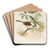 Parus cinctus, Parus lugubris by Johann Friedrich Naumann Art Drink Coaster set Parus cinctus, Parus lugubris by Johann Friedrich Naumann Art Drink Coaster set