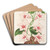 Dipladenia nobilis by Charles Antoine Lemaire Art Drink Coaster set