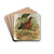 Plegadis falcinellus by Johann Friedrich Naumann Drink Coasters - set of 4 Plegadis falcinellus by Johann Friedrich Naumann Drink Coasters - set of 4