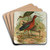 Plegadis falcinellus by Johann Friedrich Naumann Art Drink Coaster set Plegadis falcinellus by Johann Friedrich Naumann Art Drink Coaster set
