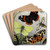 Lepidoptera by William Houghton Art Drink Coaster set Lepidoptera by William Houghton Art Drink Coaster set