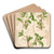 Prunus (sinensis) japonica by Charles Antoine Lemaire Art Drink Coaster set