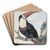 Red-billed Toucan by Aert Schouman Art Drink Coaster set Red-billed Toucan by Aert Schouman Art Drink Coaster set