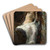 Echo by Alexandre Cabanel Art Drink Coaster set