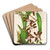 Odontoglossum Reichenheimii by Charles Antoine Lemaire Art Drink Coaster set