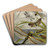 Neuroptera by William Houghton Art Drink Coaster set Neuroptera by William Houghton Art Drink Coaster set