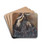 Woman with a Parasol by Constantin Guys Drink Coasters - set of 4