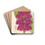 Primula Japonica by Charles Antoine Lemaire Drink Coasters - set of 4