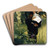 The Widower by James Tissot Art Drink Coaster set