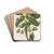 Viola arborea Brandyana by Charles Antoine Lemaire Drink Coasters - set of 4