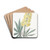 Yellow Perennial Lupine by Sydenham Edwards Drink Coasters - set of 4