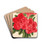 Azalea Monsieur Warocqu by Charles Antoine Lemaire Drink Coasters - set of 4