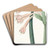 Tawny Coburgia by Sydenham Edwards Art Drink Coaster set