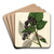 Rubus: Ferndale by William Henry Prestele Art Drink Coaster set