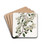 Ovate-leaved Duvaua by Sydenham Edwards Drink Coasters - set of 4