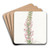 Glandular Snapdragon by Sydenham Edwards Art Drink Coaster set