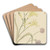Bloemstudies van een gele lelie en een bloeiende ui by Elias van Nijmegen Art Drink Coaster set Bloemstudies van een gele lelie en een bloeiende ui by Elias van Nijmegen Art Drink Coaster set
