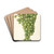 Vitis: Admirable de Courtiller by Bertha Heiges Drink Coasters - set of 4