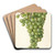 Vitis: Admirable de Courtiller by Bertha Heiges Art Drink Coaster set